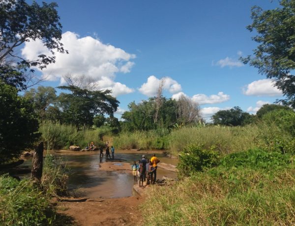 Gold fever in Cabo Delgado, Mozambique